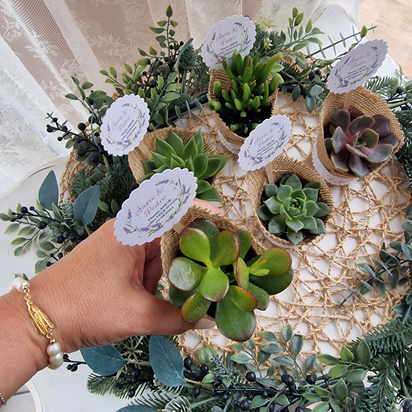 Vasinho de suculentas lavanda