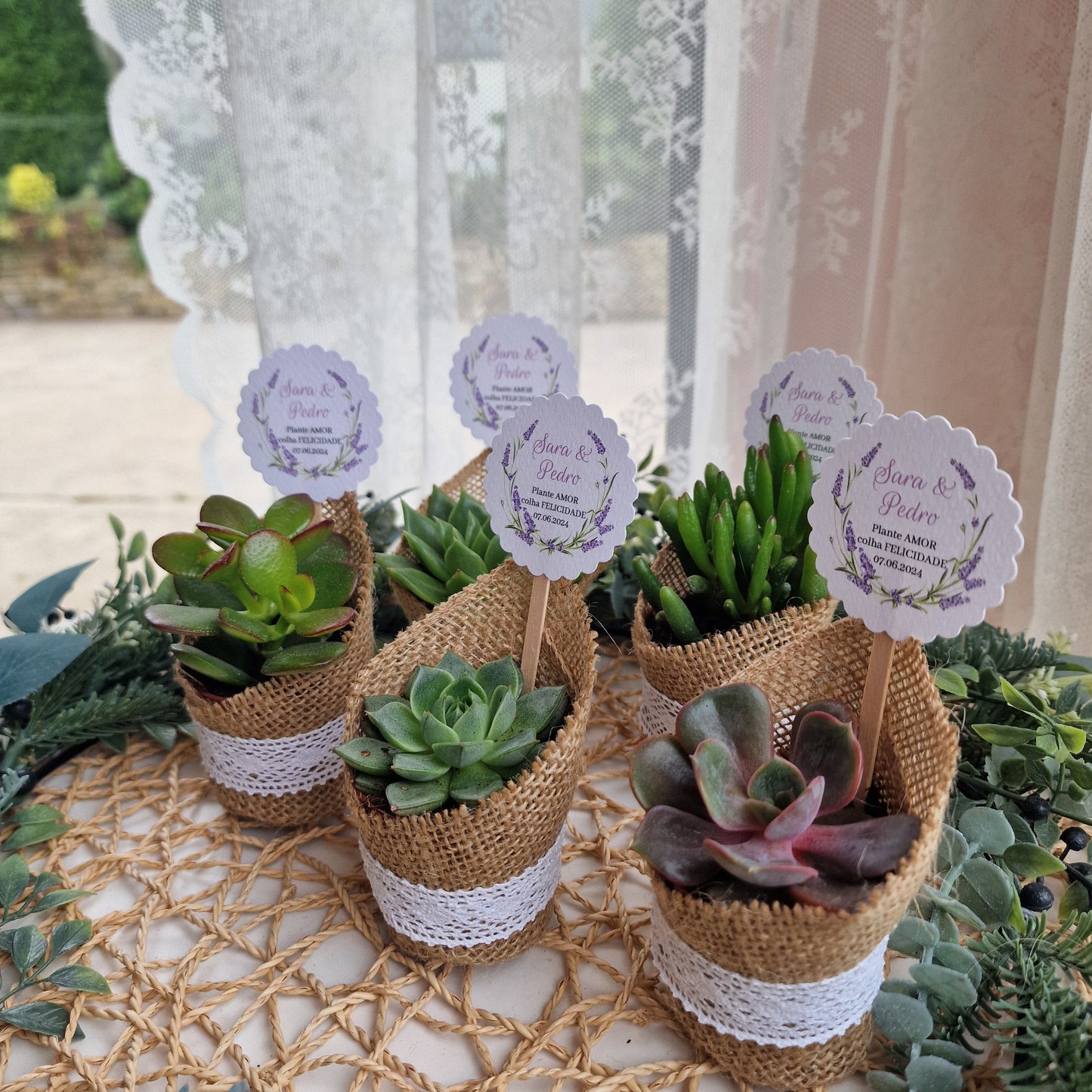 Vasinho de suculentas lavanda
