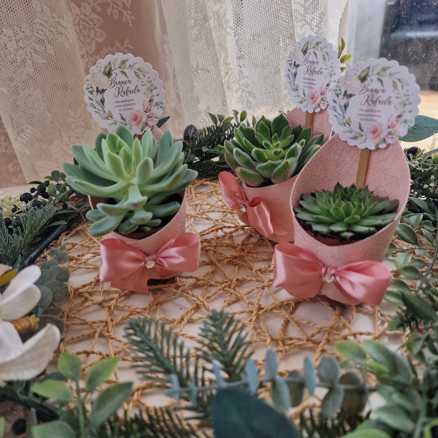 Vasinhos de suculentas flores da Bárbara