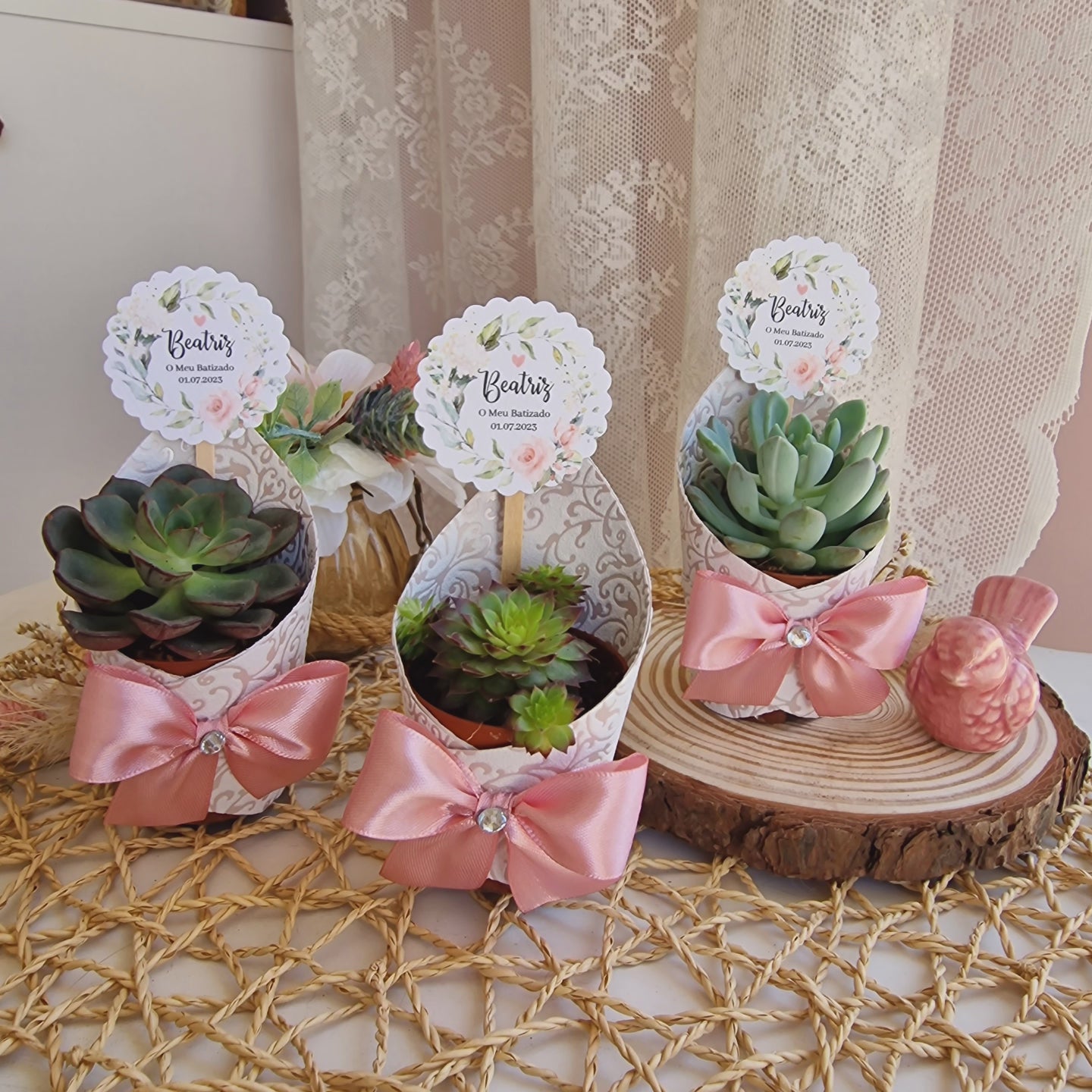 Vasinhos de suculentas flores da Bárbara