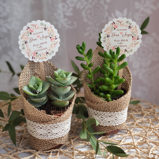 Rustic succulent pot