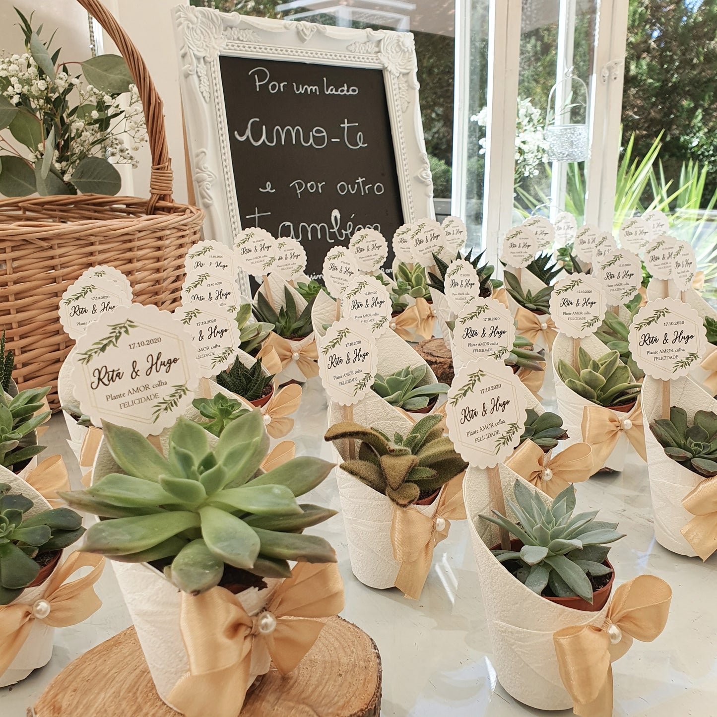 Succulent pot