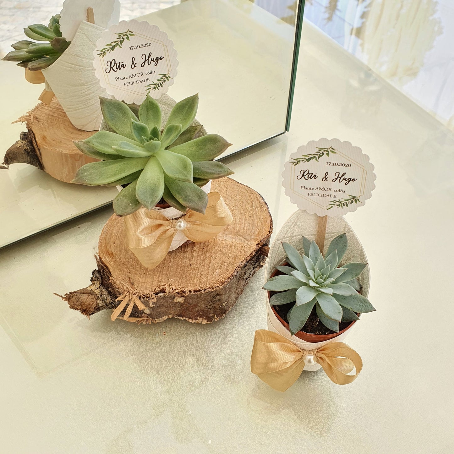 Succulent pot