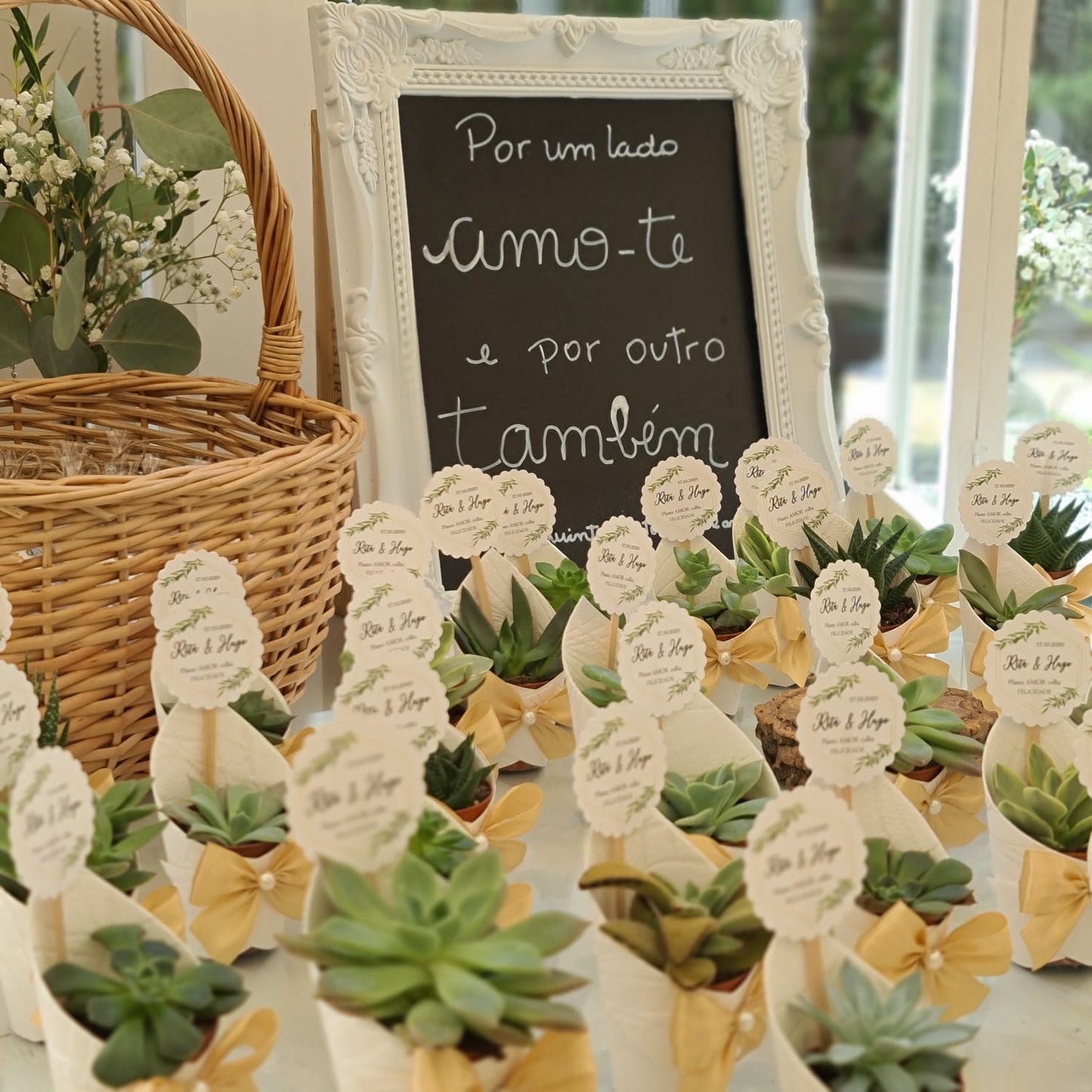 Succulent pot