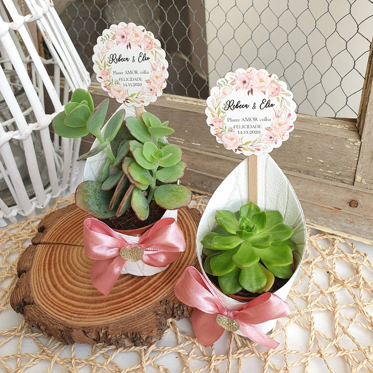 Small pot with succulents and label included