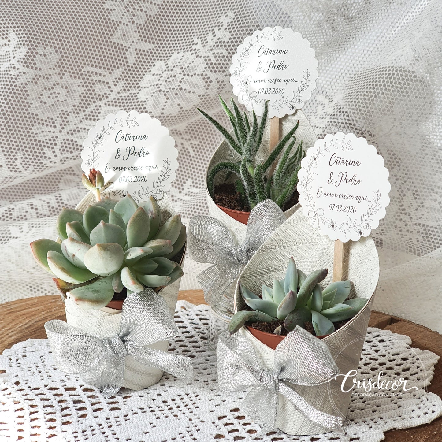 Small pot with succulents and label included