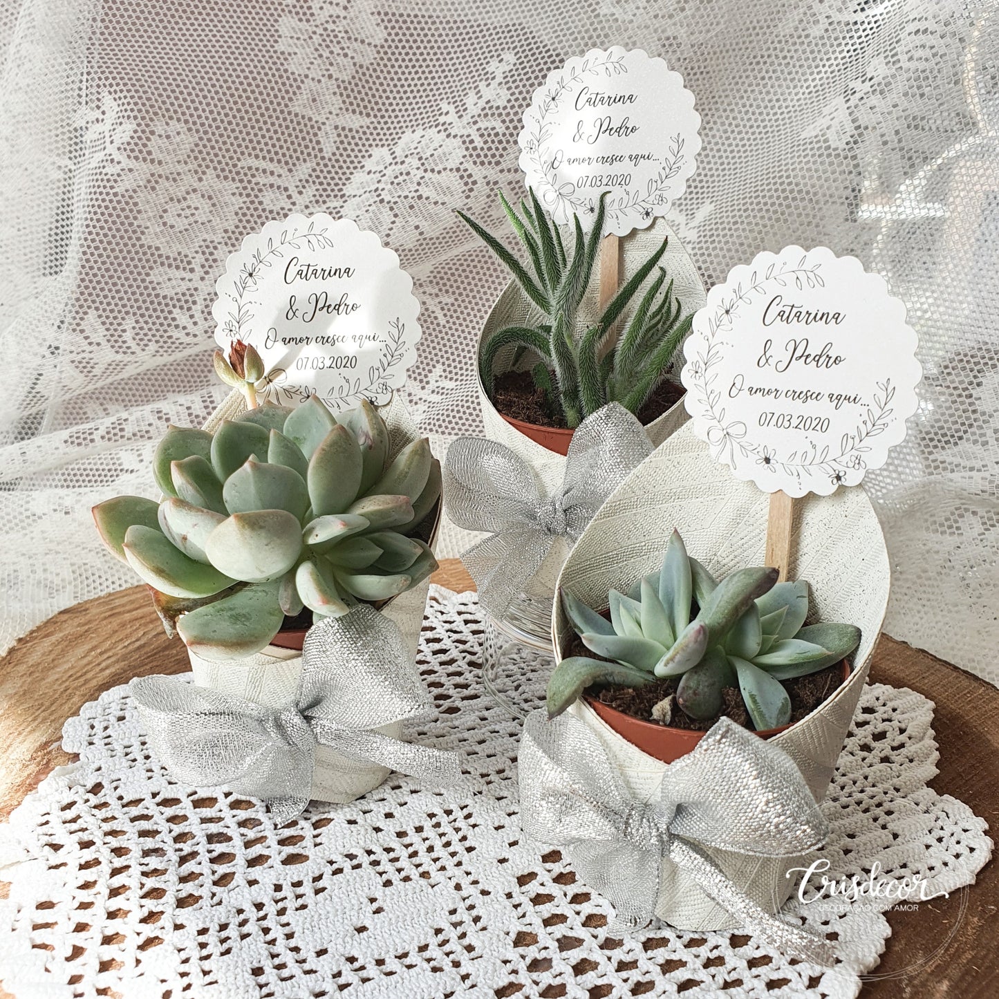 Small pot with succulents and label included