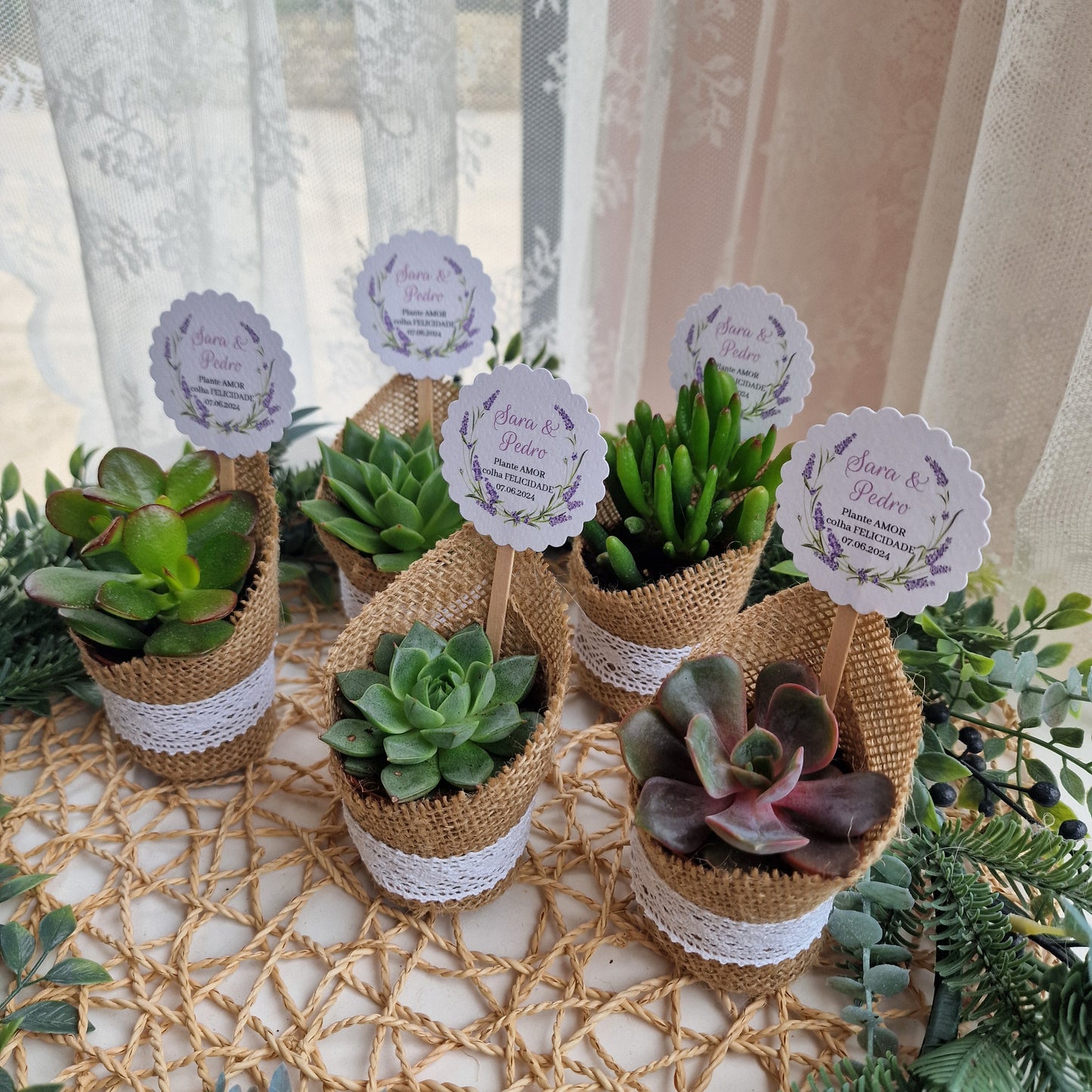 Pot succulent rustique