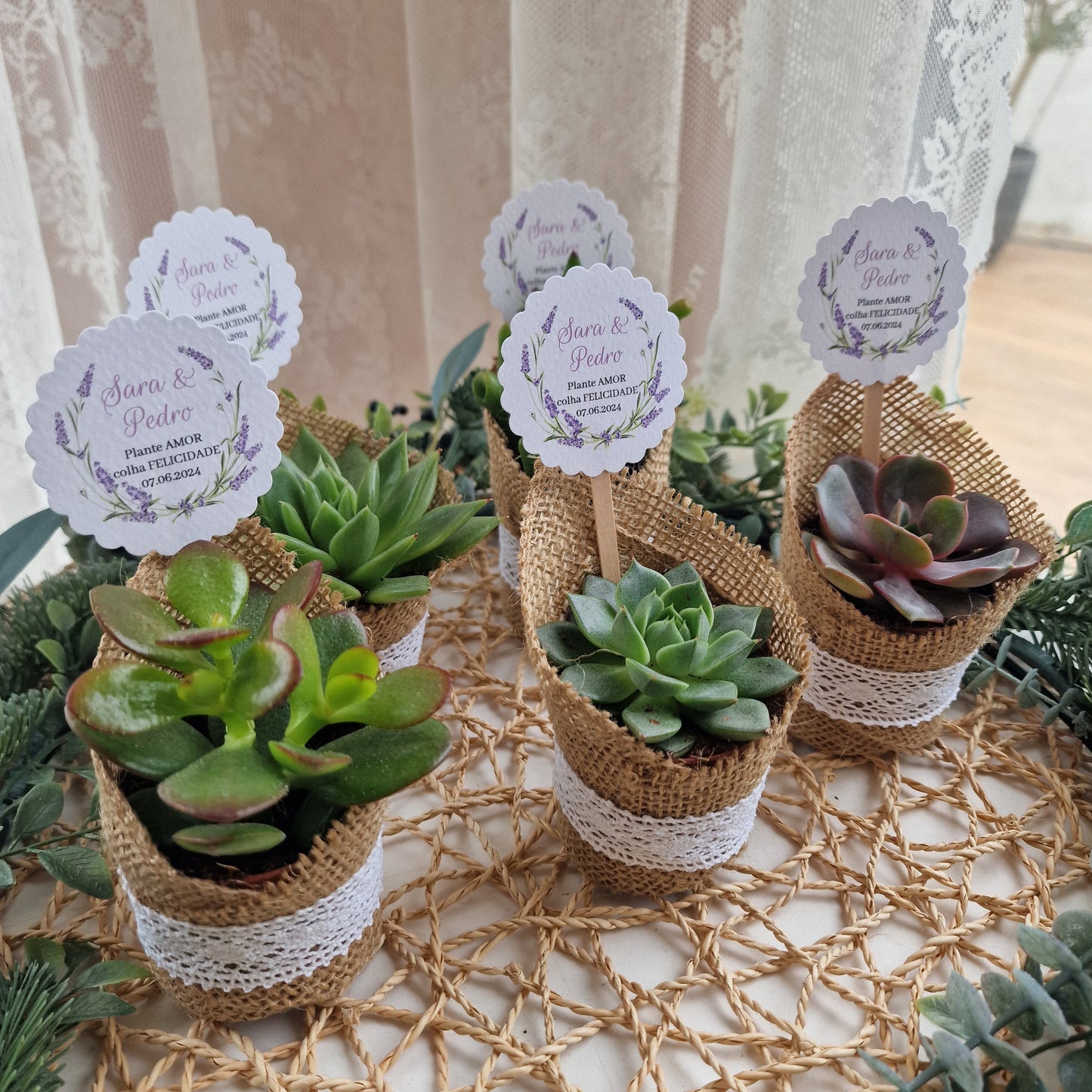 Pot succulent rustique