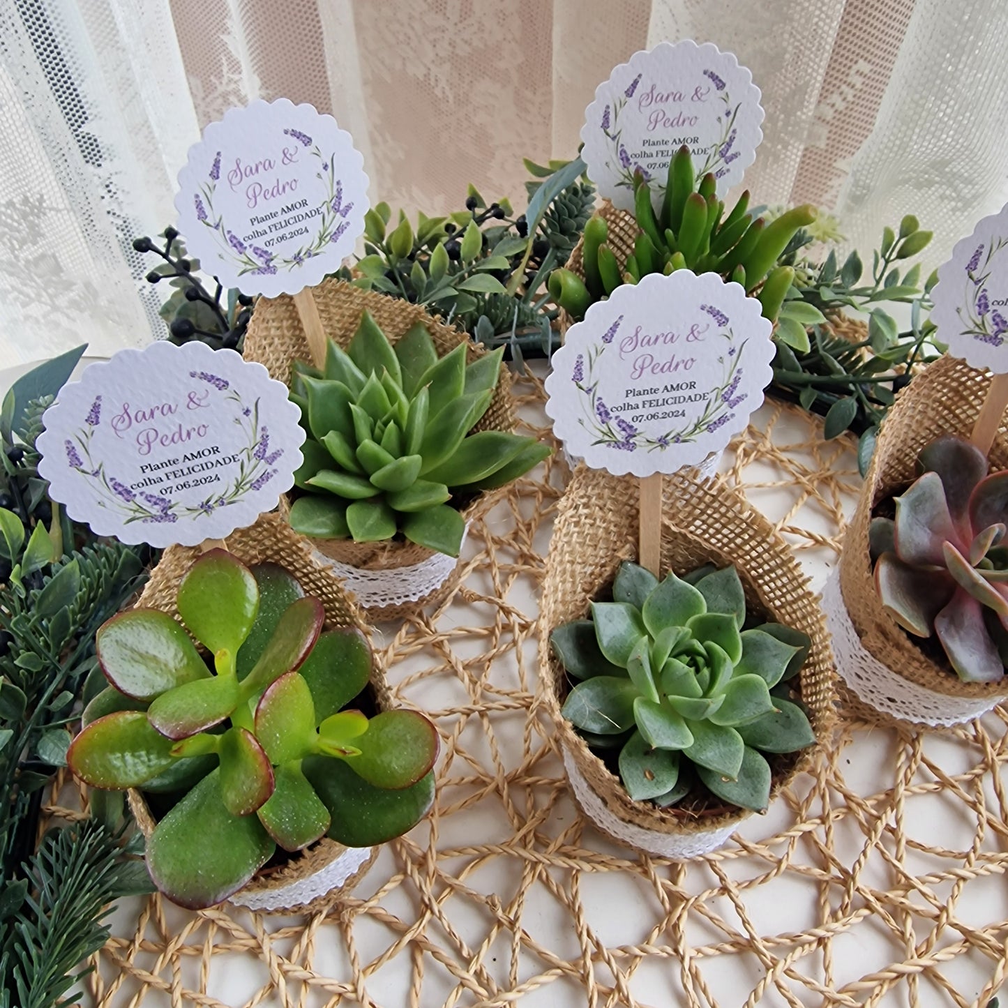 Pot succulent rustique
