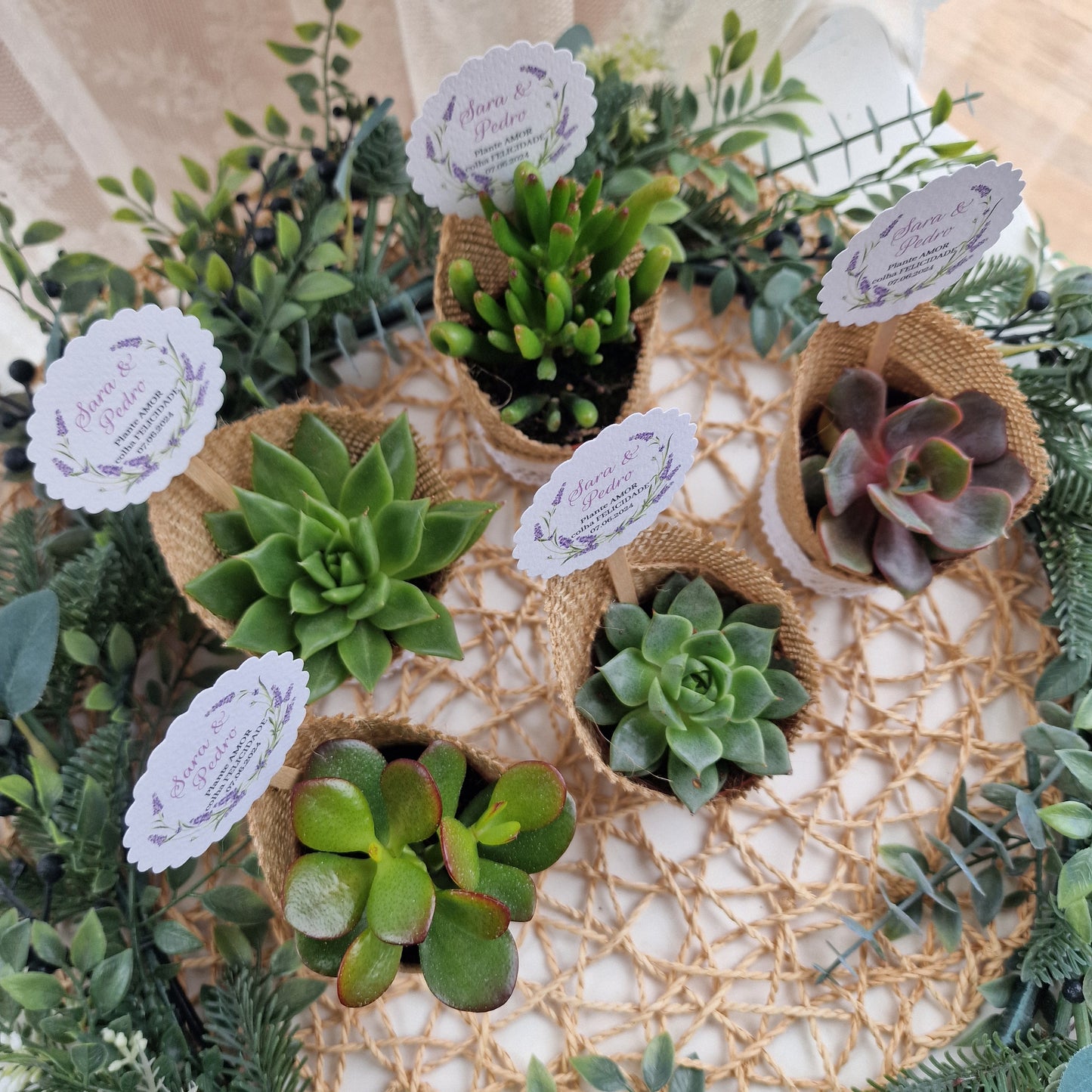 Pot succulent rustique