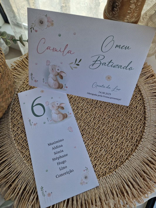 Placas para placar da coleção coelhinha