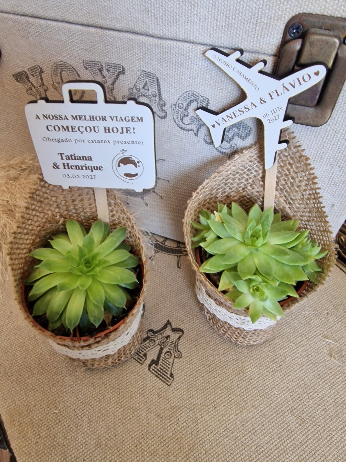 Vasinhos de suculentas naturais com tag viagens em madeira